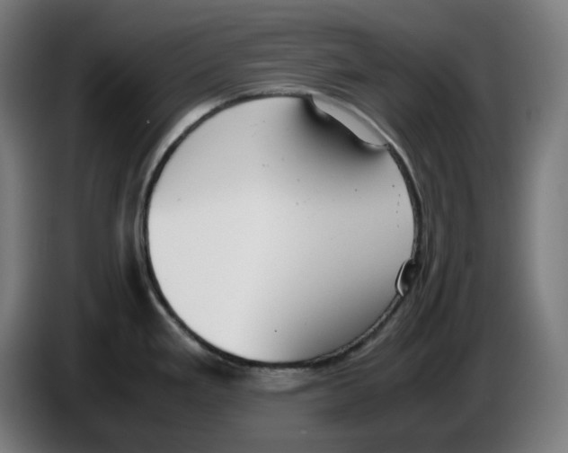 X0000086241293200704191813
