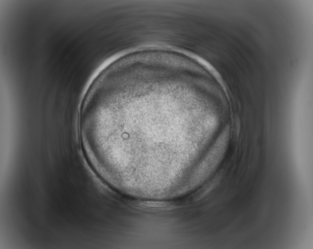 X0000086241295200704191813