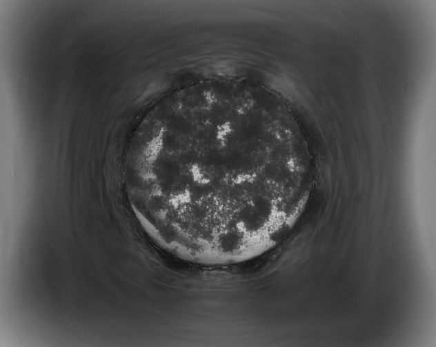 X0000086241297200704191812