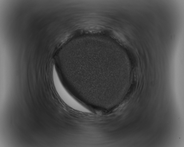 X0000086241298200704191812
