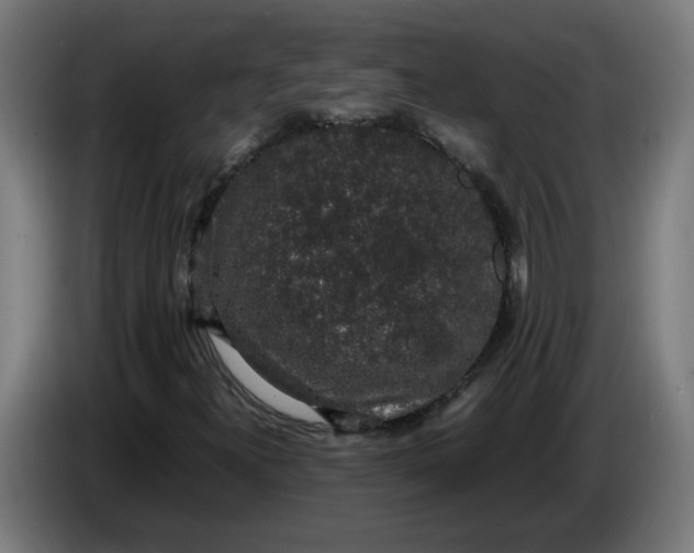 X0000086241300200704191812