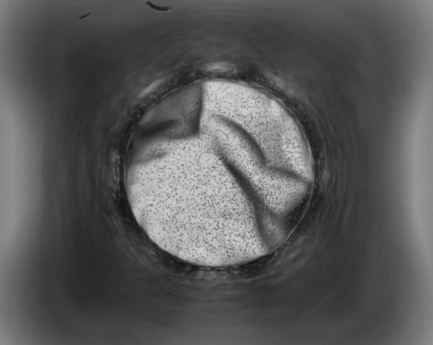X0000086241301200704191812