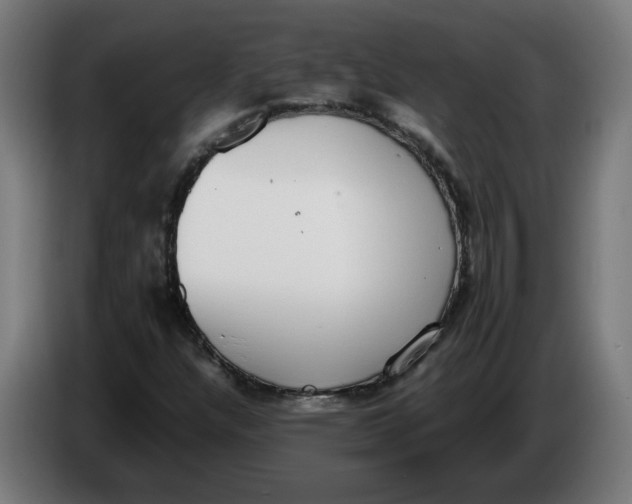 X0000086241304200704191812