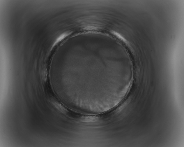 X0000086241306200704191812
