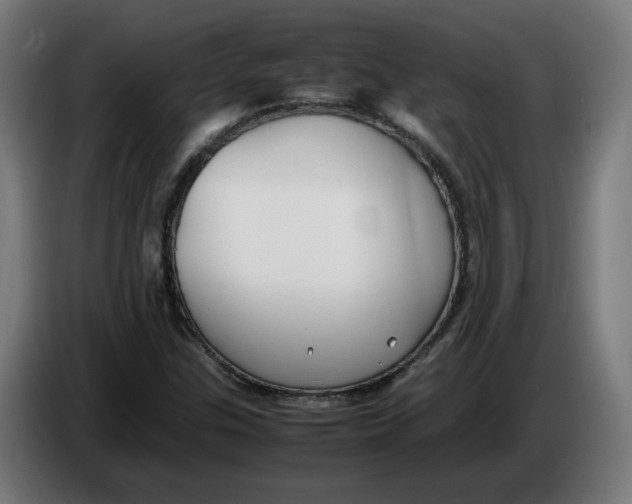 X0000086241307200704191812