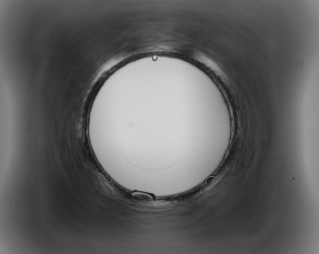 X0000086241308200704191812