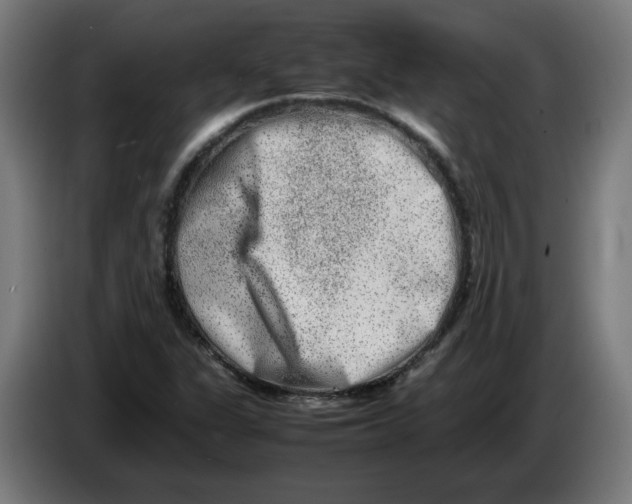 X0000086241311200704191812