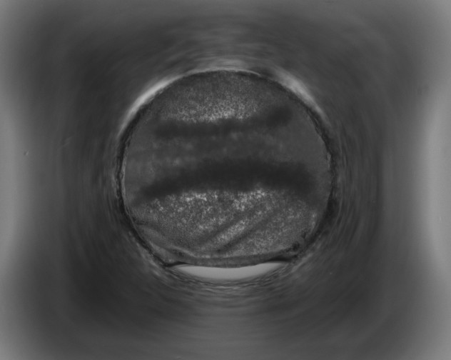X0000086241312200704191812