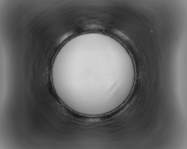 X0000086241313200704191812