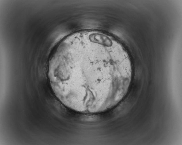 X0000086241314200704191812