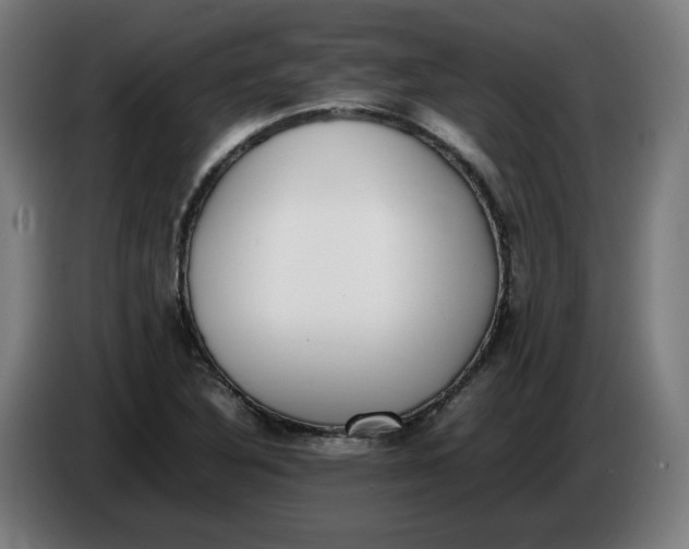 X0000086241316200704191812