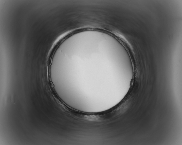 X0000086241320200704191813