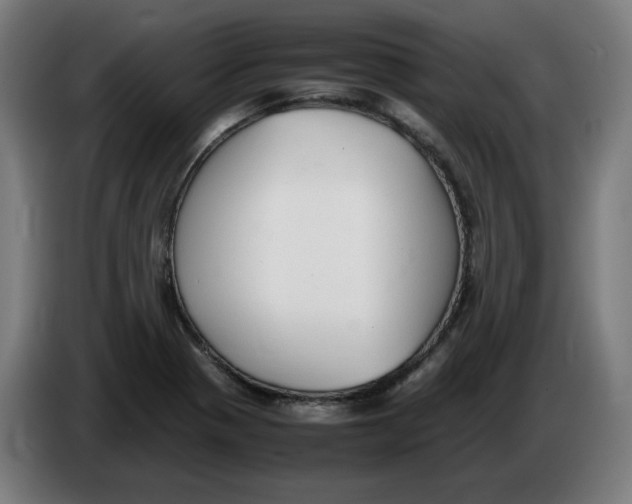 X0000086241321200704191813