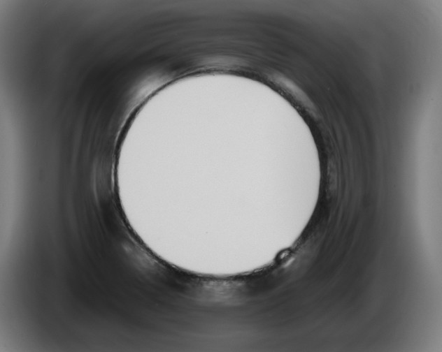 X0000086241322200704191813