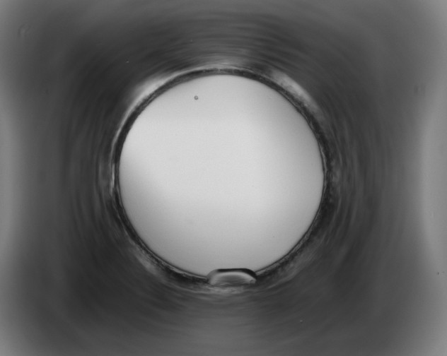 X0000086241324200704191813