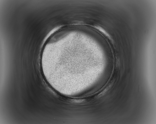 X0000086241325200704191813