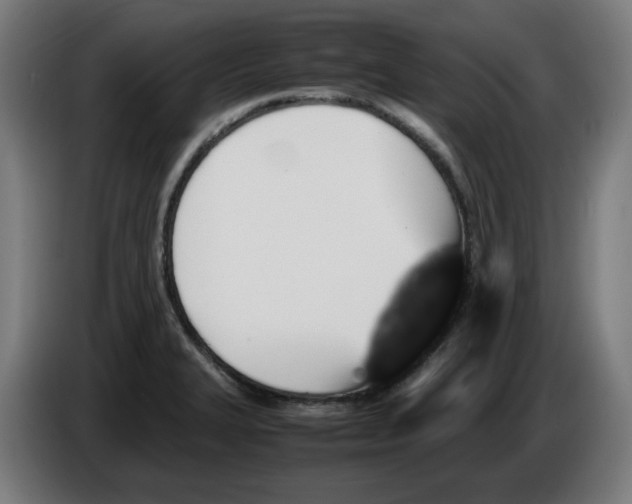 X0000086241327200704191813