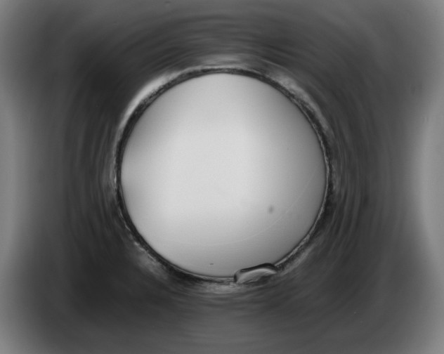 X0000086241328200704191813