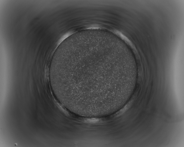 X0000086241329200704191813