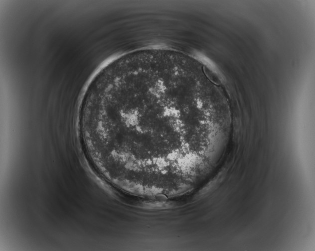 X0000086241331200704191813
