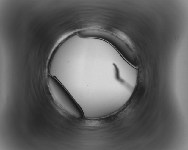 X0000086241332200704191813