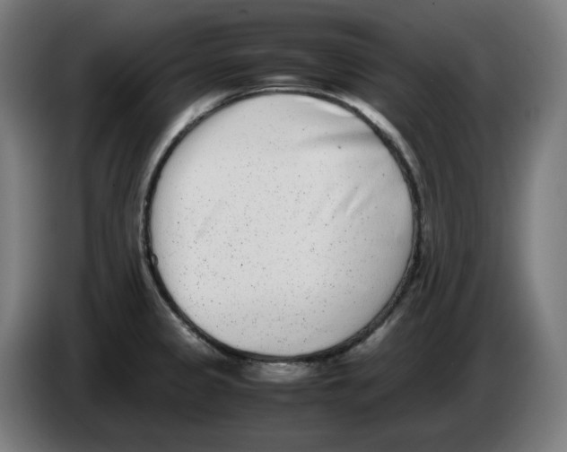 X0000086241333200704191813