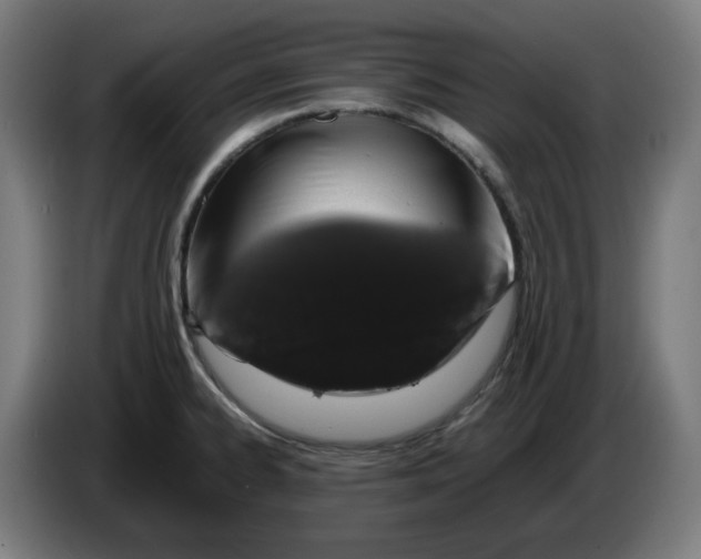 X0000086241334200704191813