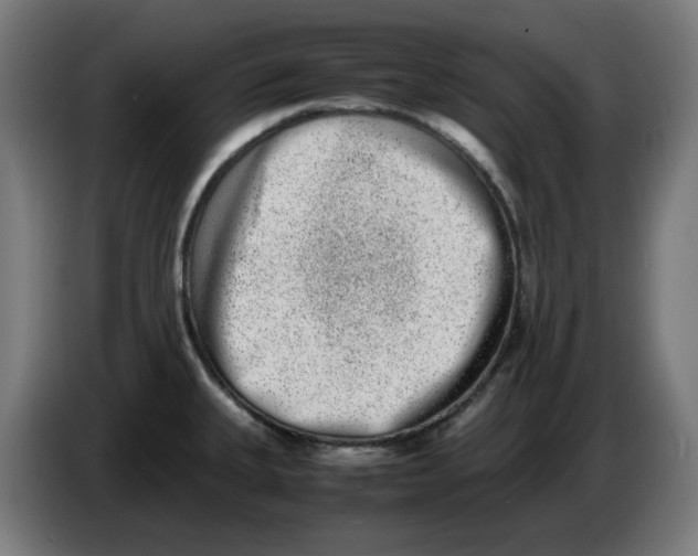 X0000086241335200704191813