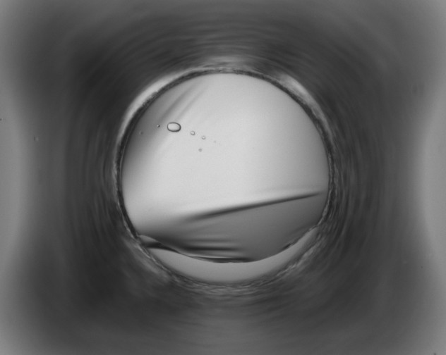 X0000086241336200704191813