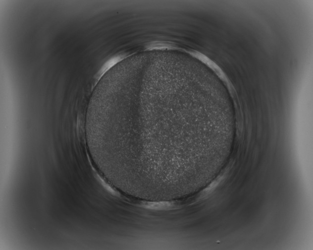 X0000086241337200704191813