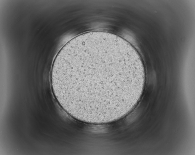 X0000086241338200704191813