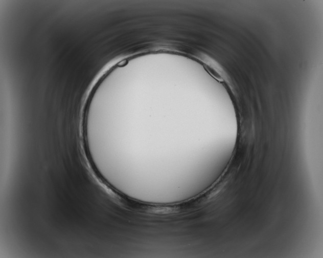 X0000086241339200704191813
