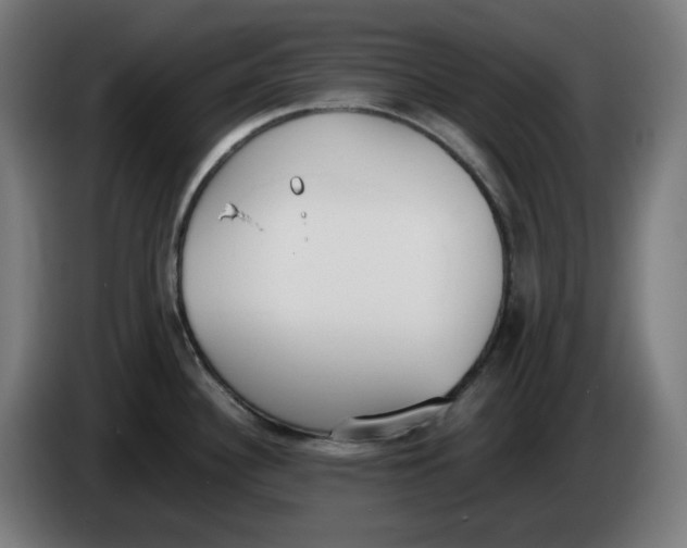 X0000086241340200704191813
