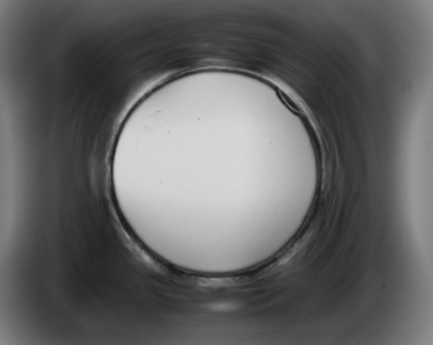 X0000086241341200704191813