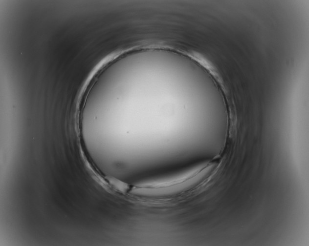X0000086241342200704191813