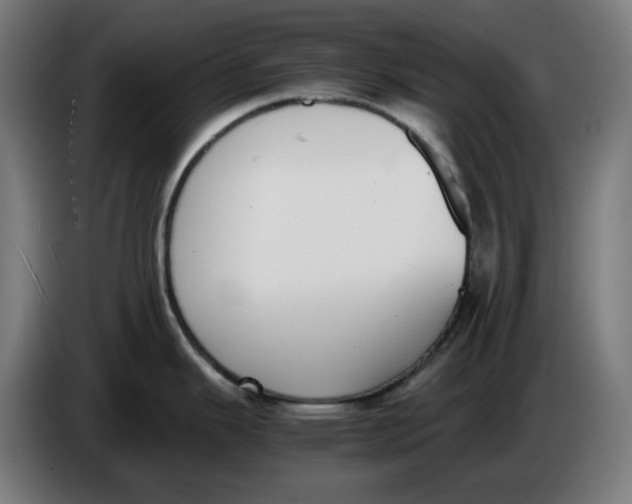 X0000086241343200704191813