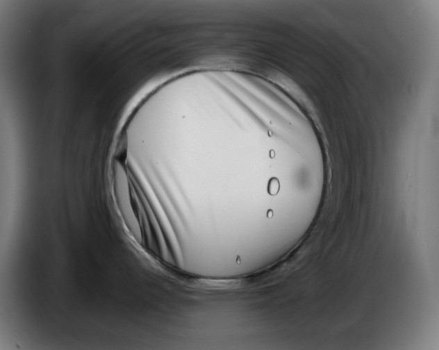 X0000086241344200704191813