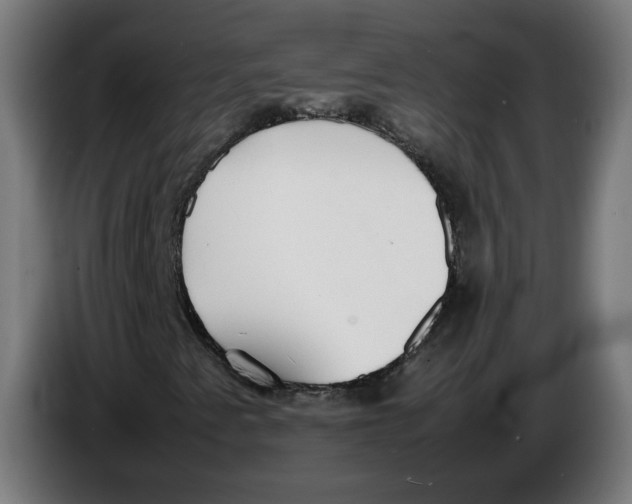 X0000086241345200704191812