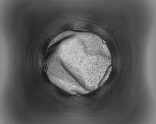 X0000086241346200704191812