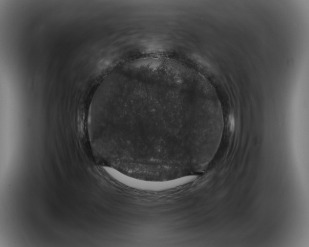 X0000086241348200704191812