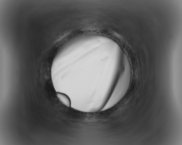 X0000086241350200704191812