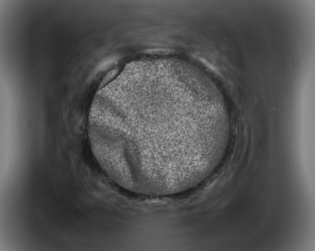 X0000086241351200704191812