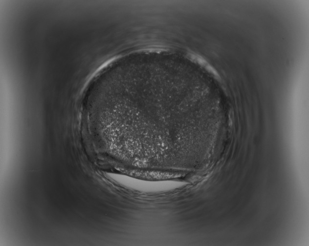 X0000086241352200704191812