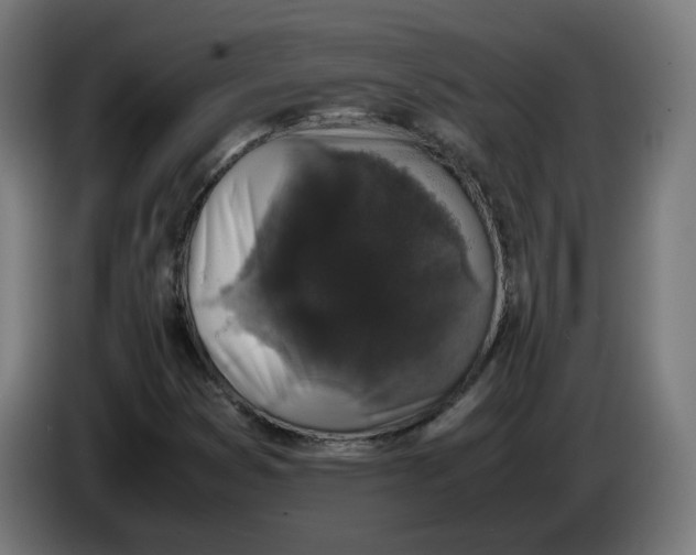 X0000086241353200704191812