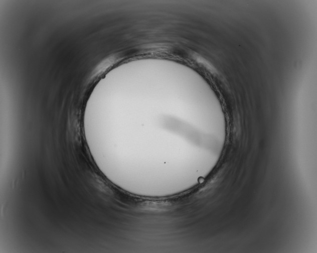 X0000086241354200704191812