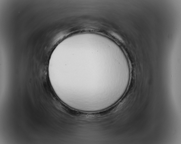 X0000086241355200704191812