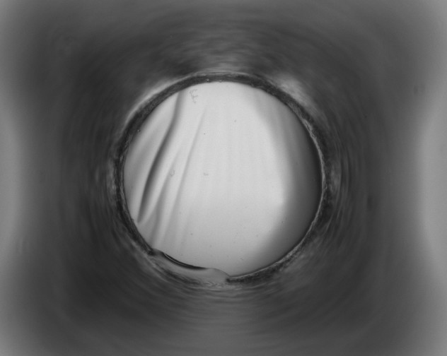 X0000086241356200704191812
