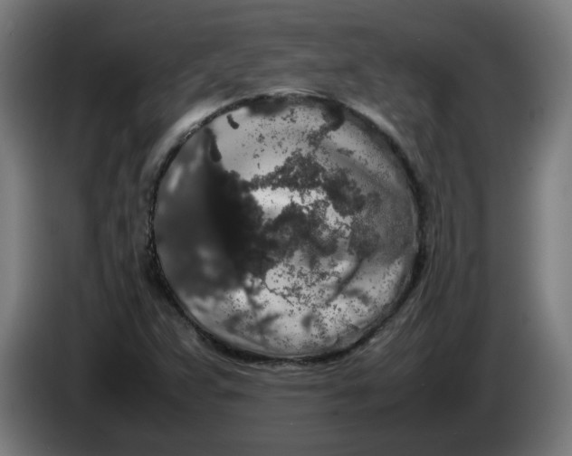 X0000086241359200704191812