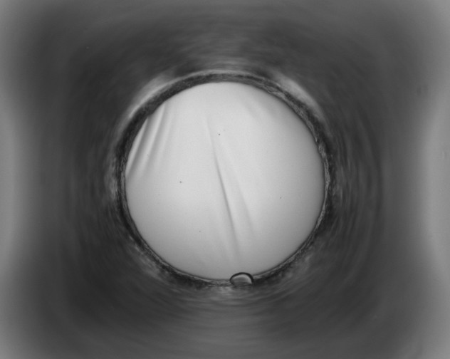 X0000086241360200704191812