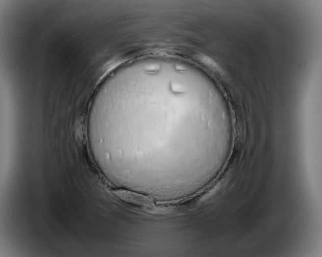 X0000086241361200704191812